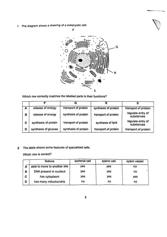 Nan Chiau High 2024 Sec 4 Biology Prelim Exam Paper 1, page 2